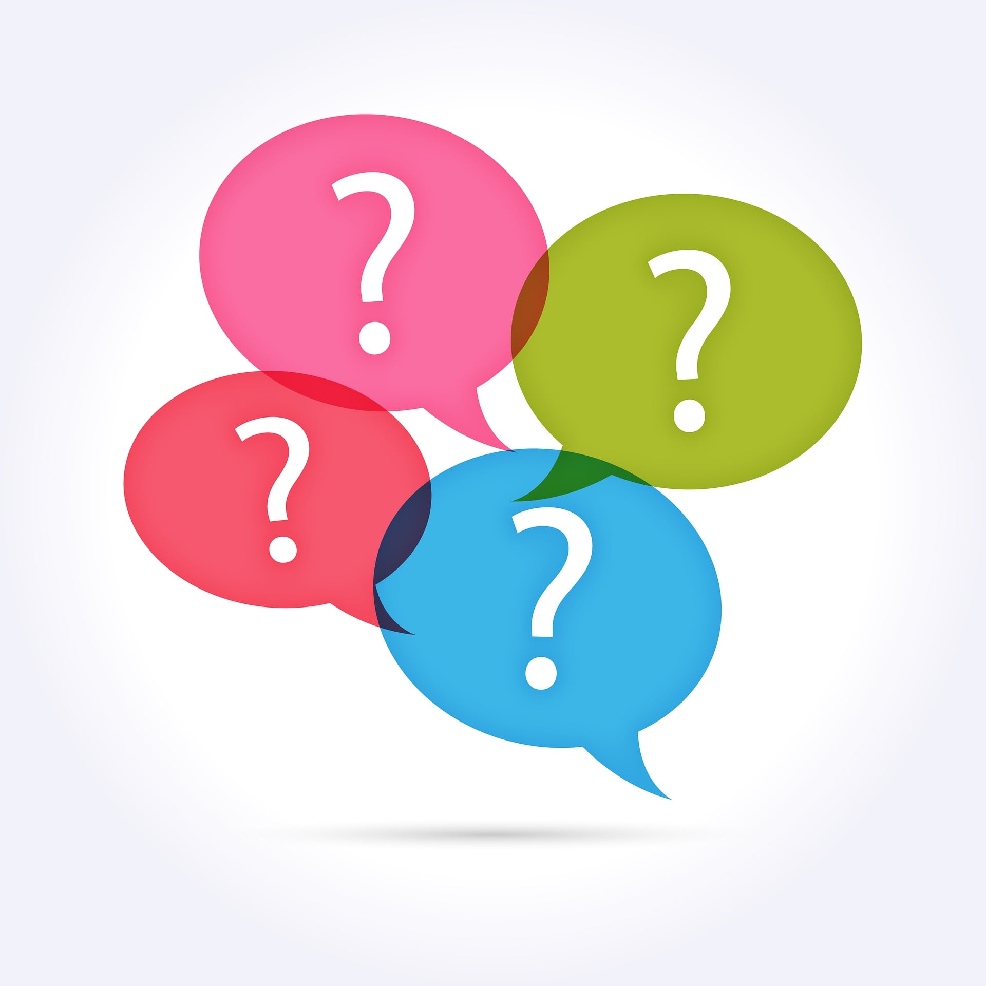 Les « questions orales »